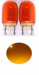 Transformacion NATURAL AMBER T20 Şişman/Japon Tip Park Ampülü  01a157