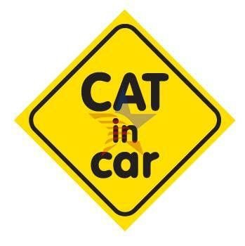 Automix Cat In Car Vantuzlu