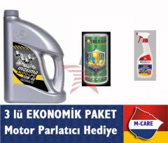 Petrol Ofisi LPG li Motor 10W/40 4 Litre Motor Yağı + Double Up LPG li Araçlar Özel Katkı EKONOMİK SET 65c009