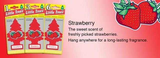 Car Freshener Usa Çilek 7 Kademe  Asma Koku